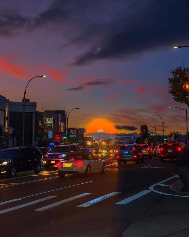 碎冰蓝玫瑰花语和寓意，碎冰蓝玫瑰寓意什么（那些温柔干净的文案）