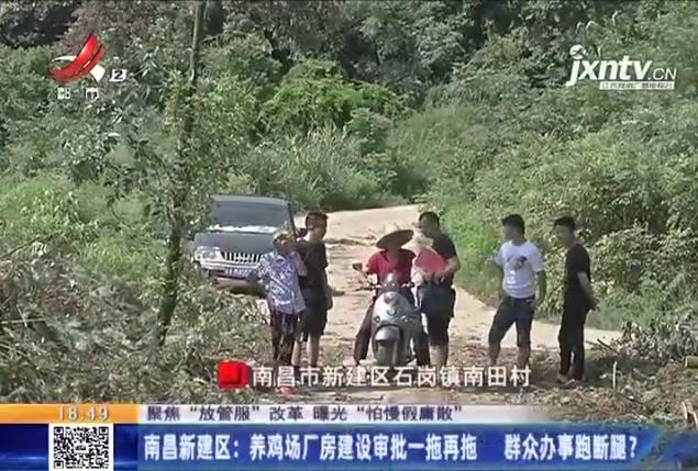 养鸡场投资多少钱，养1000只鸡需投资多少（男子投资200万元的养鸡场）