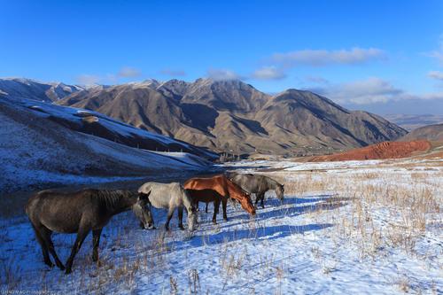 粜米的反义词是，籴米的反义词（《说文》的“连篆字为句”体例）
