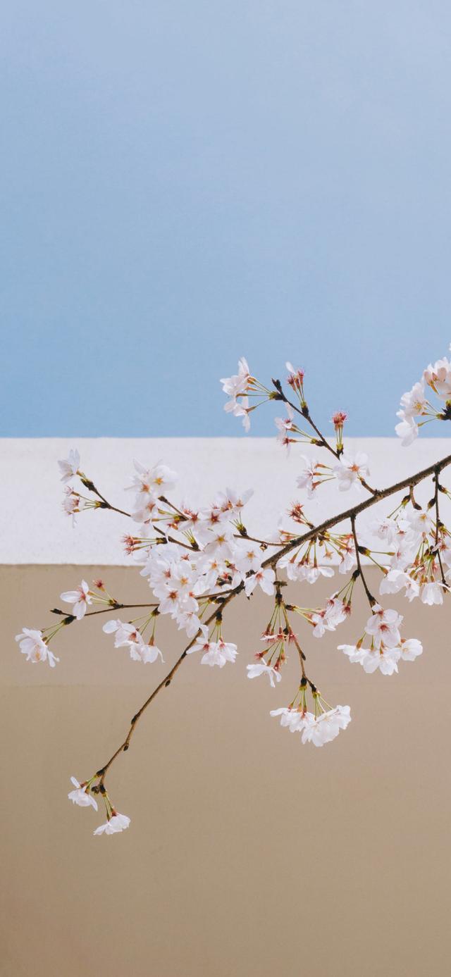 扎心背景图片。，微信扎心背景图（凌晨的故事最扎心）