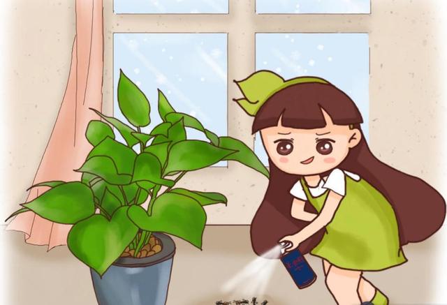 怎么去除家里的蚂蚁窝，怎么去除家里的蚂蚁窝视频（这些就能把它消灭掉）