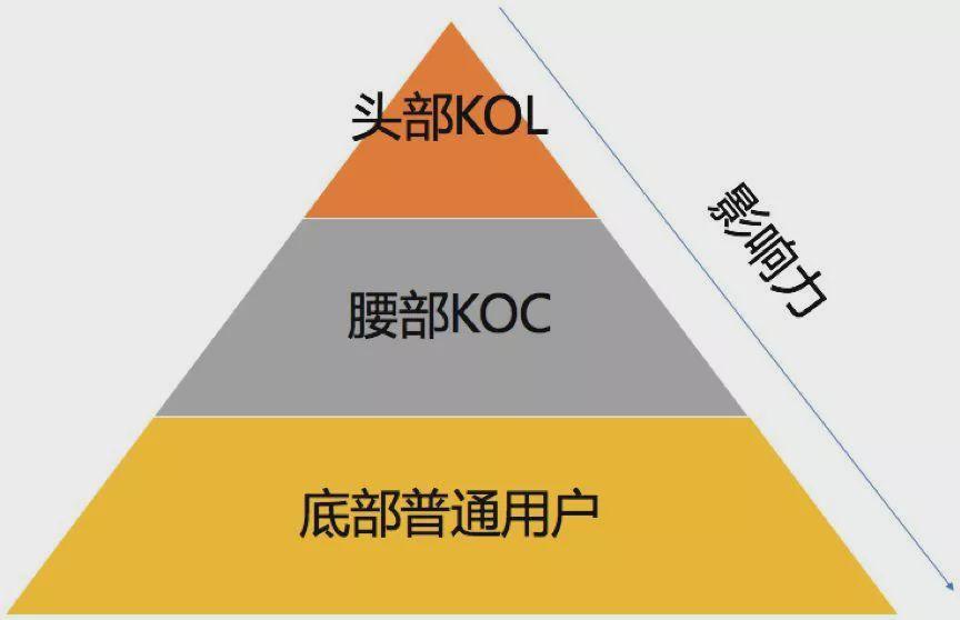 kol是网红的意思吗，kol和koc通俗说法