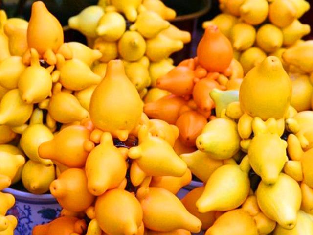 金黄葫芦树上挂是什么水果，红色葫芦水果是什么（把这种“吉祥果”种在家里）