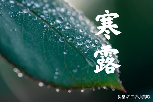2022年有闰月吗闰几月 下个闰年是哪年，2022年有闰月吗闰几月（2022年收成好吗）