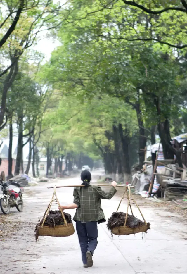 撮箕普通话怎么讲，撮箕用普通话怎么说（你分得清这几种箕篼么）