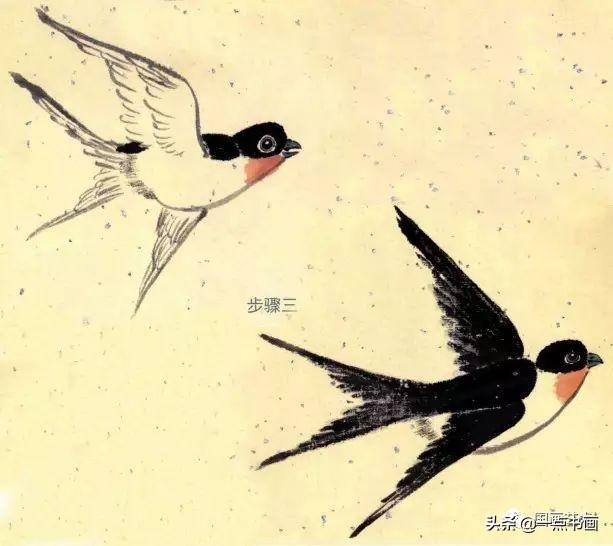 燕子怎么画，燕子怎么画 简笔画（花鸟扇面《春柳双燕》分解画法示范）