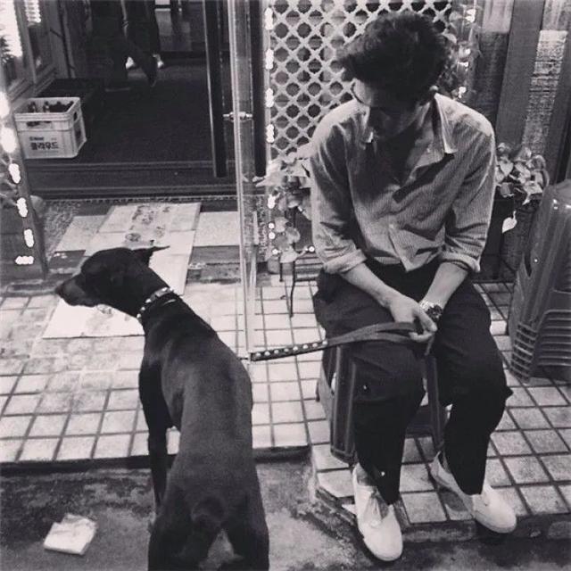 男生高级感的头像 盛不盛开 花都是花  有你没你 我都是我微信，男生高级感的头像 盛不盛开 花都是花  有你没你 我都是我（头像丨男生：盛开或者不盛开）