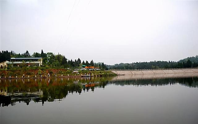 安岳石刻与玄应的由来，安岳石刻历史（这里是安岳）