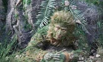 西游记第七回主要内容，关于西游记第七回内容概括（西游记第七回-玉帝杀不了悟空反被操）