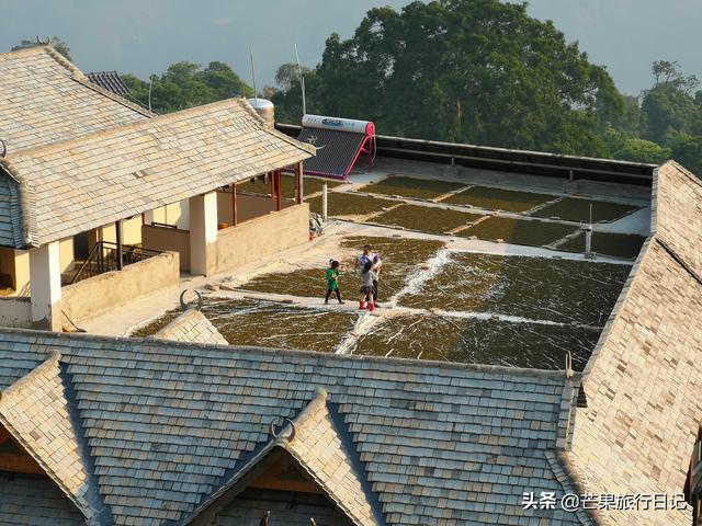傣族分为哪几种，傣族有哪几种（云南深山有个土豪村）