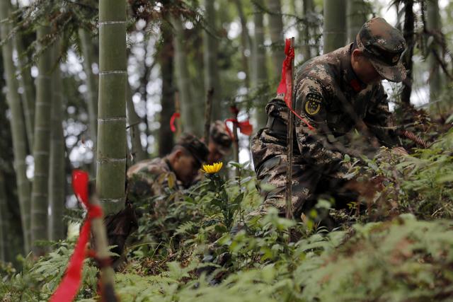 坟茔读音，坟茔读音怎么读（追寻1343座无名红军墓背后的故事）