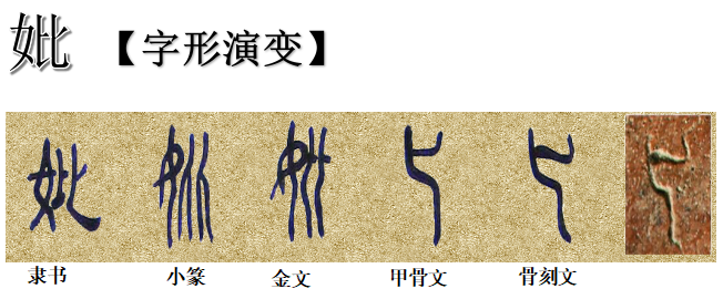 指事字有哪些(指事字100个举例)插图(2)