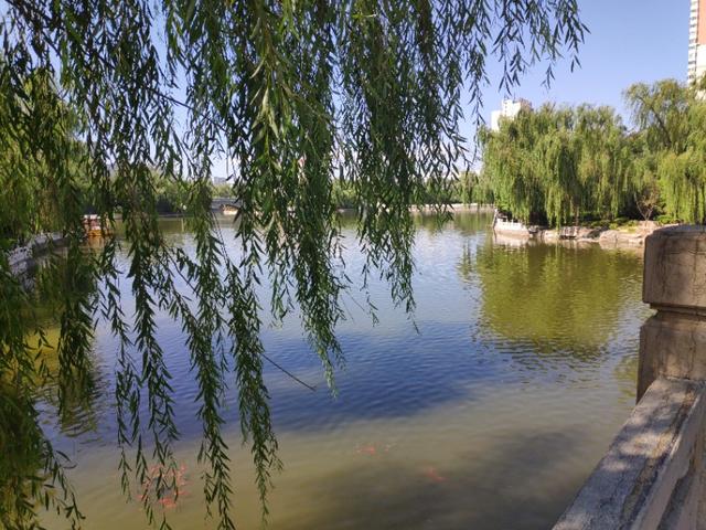 太原迎泽公园在哪儿，太原市内最大公园