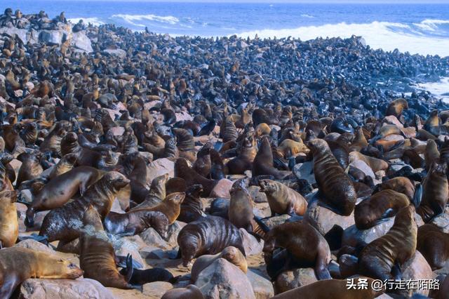 最危险的海滩，最危险的海滩在哪里（全球最危险的海岸）