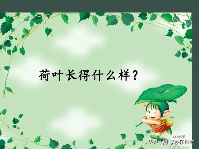 一什么荷叶一什么凉伞，荷叶是小雨的凉伞（小学部编版一年级下册语文课文13《荷叶圆圆》图文解读+知识点）
