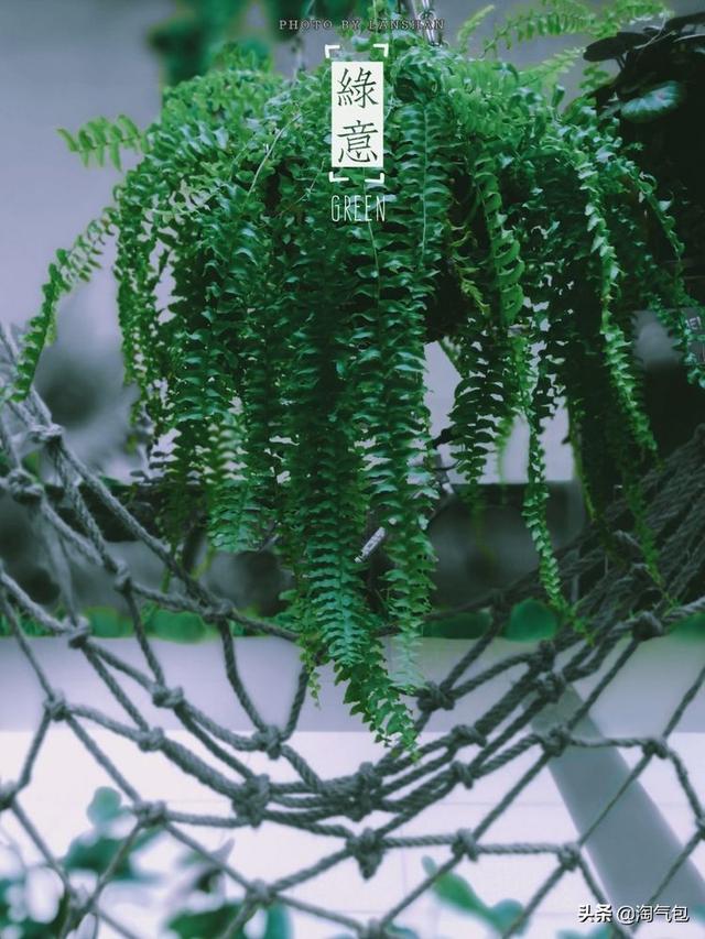 12个月都有什么情人节，二月没过情人节的今天补上