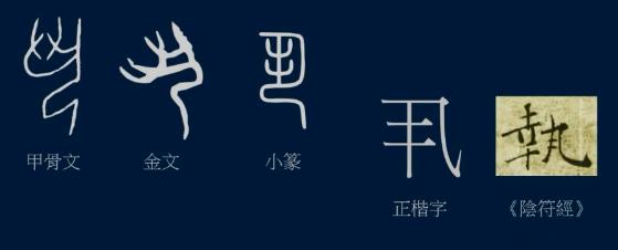 6 草字頭和竹字頭「草」和「竹」兩個字的小篆是這樣的,都是象形字.