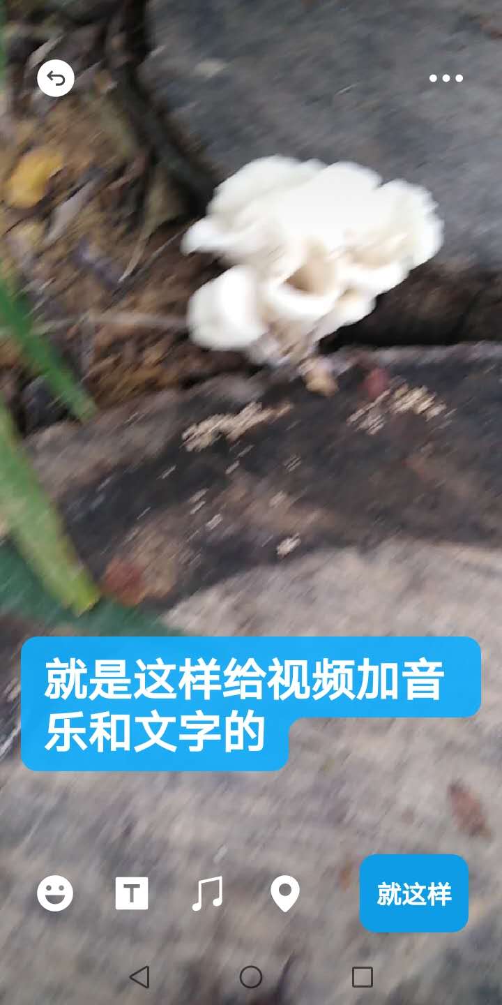 朋友圈怎么发音乐(微信朋友圈音乐怎么加)