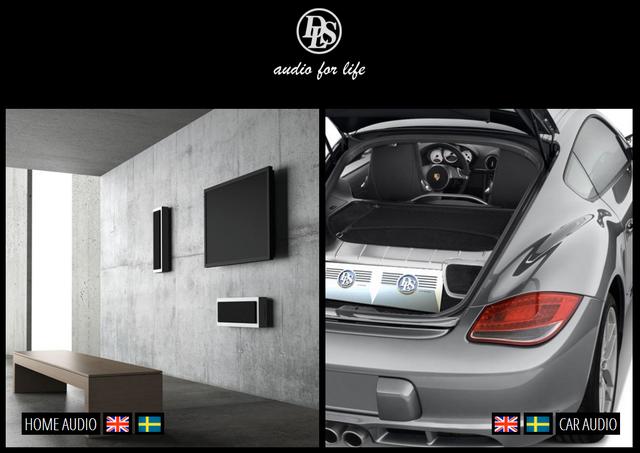 dls是什么意思，Flatmini