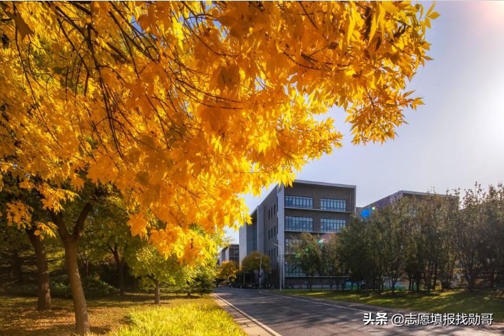 国防七子实力排名(国防科技大学为什么不是国防七子)
