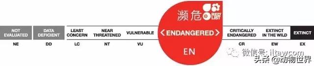 企鹅都有哪几种分别生活在哪里呢，企鹅都有哪些（详解世界上的18种企鹅<一>）