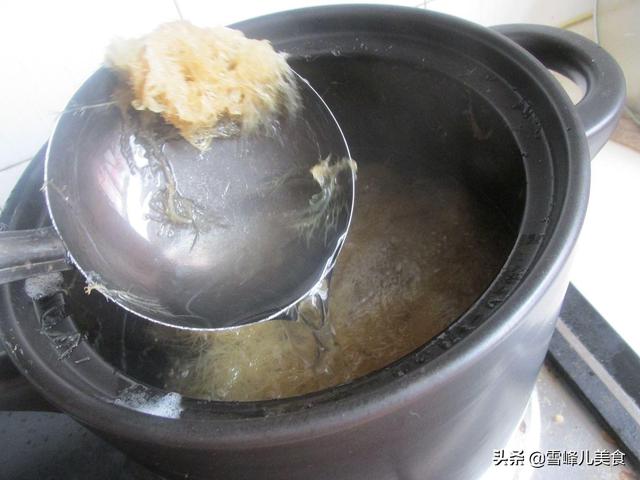 海石花的功效与禁忌，海石花的功效与禁忌海石花果冻是怎么做（每天1碗减肥排毒又润肤）