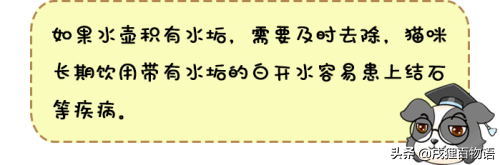 猫喝什么水比较好，猫咪可以喝什么水吗（一天到底需要喝多少水）