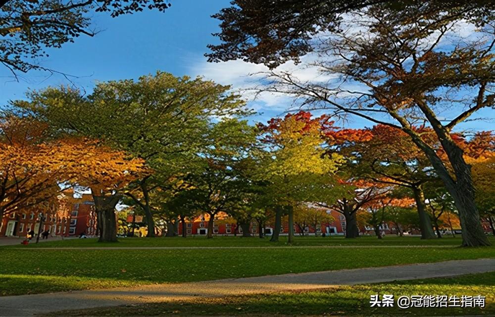 护理专业单招学校（四川春季护理专业单招考试能报什么中专学校）