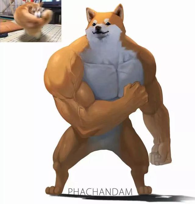 吸猫伐是什么意思，什么叫吸猫（禽兽们搞起比利来有多“骚”）