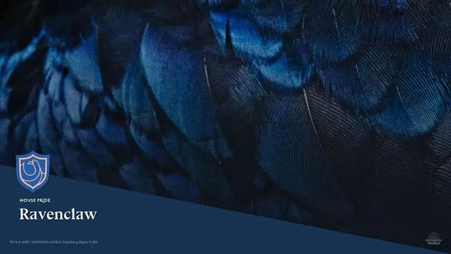 哈利·波特，哈利·波特与被诅咒的孩子（哈利波特头像+图片+壁纸）