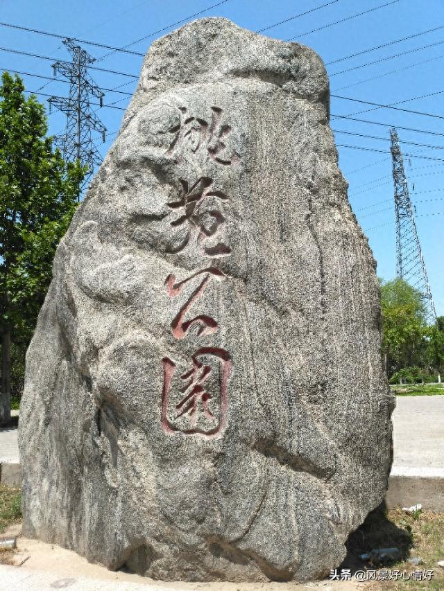 桃苑郊野公园，一个小众公园。特色“朴拙”“自然”“野趣”。