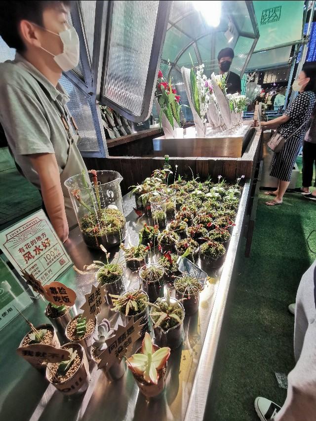 安义路夜市在哪里，安义路夜市在哪里摆摊（上海夜市之安义路游感）