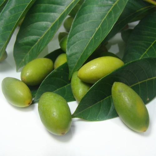 福州三宝分别是什么，福州三宝是哪些（福州最著名的特产是什么）