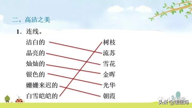 悠扬的近义词，“悠扬”的近义词是什么（四年级下册语文第11课《白桦》图文详解及同步练习）