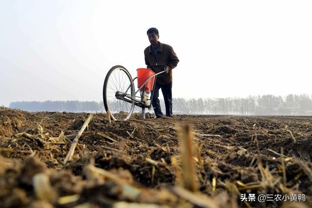 2022年有闰月吗闰几月 下个闰年是哪年，2022年有闰月吗闰几月（2022年收成好吗）