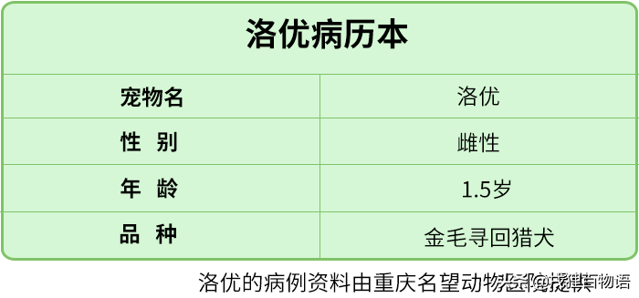 名望动物医院（饭后散步身体好）