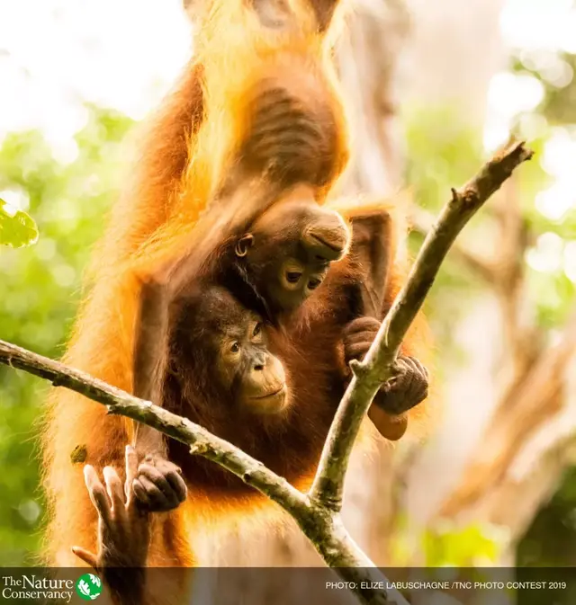 怦然心动美图，怦然心动最新图片（美图 ， 这一瞬间的怦然心动）