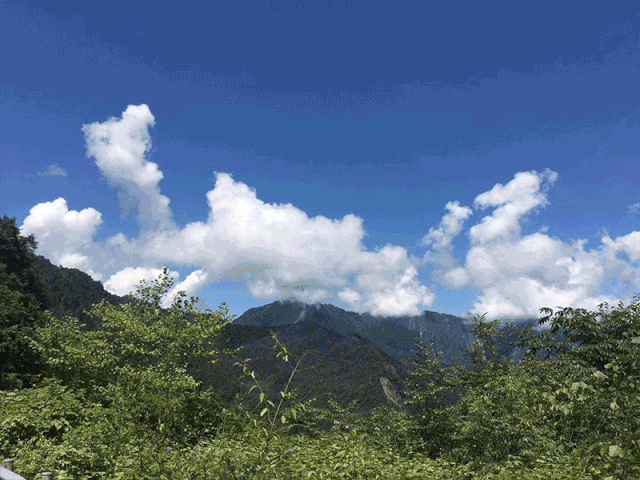 640_480gif 动态图 动图