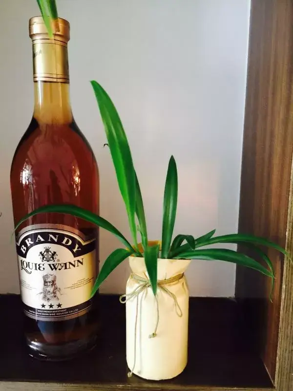 塑料瓶制作花瓶100种，塑料瓶怎么制作成花瓶（旧塑料瓶DIY成手工花瓶）