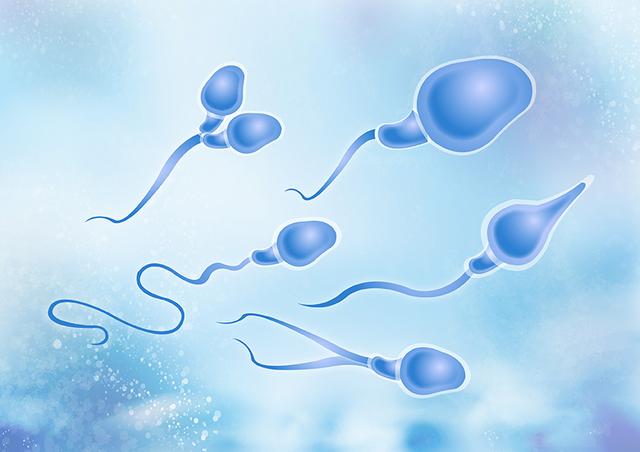 精子质量差可以怀孕吗，精子质量差能怀上吗（精子活力低影响怀孕）