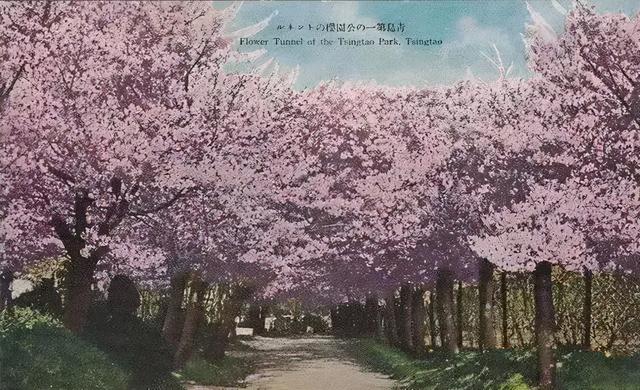 青岛景点排名一览表，青岛旅游景点大全（青岛旅游景点大全排名）