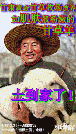 年货节宣传文案，年货文案（年货节文案精选来了）