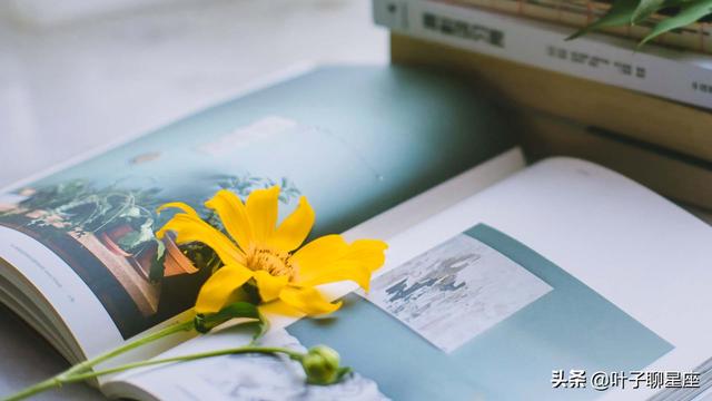 怎么追天蝎座女生，追天蝎女成功率最高的方法（撩他们只需要三句话）