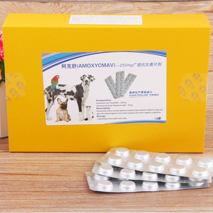 哪些消炎药可以给狗吃，可以给狗吃的消炎药有哪些（一些宠物常见的消炎药）