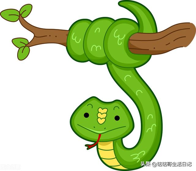 梦见火车是什么意思，梦见火车是什么寓意（奇门遁甲：测梦境的心得体会）