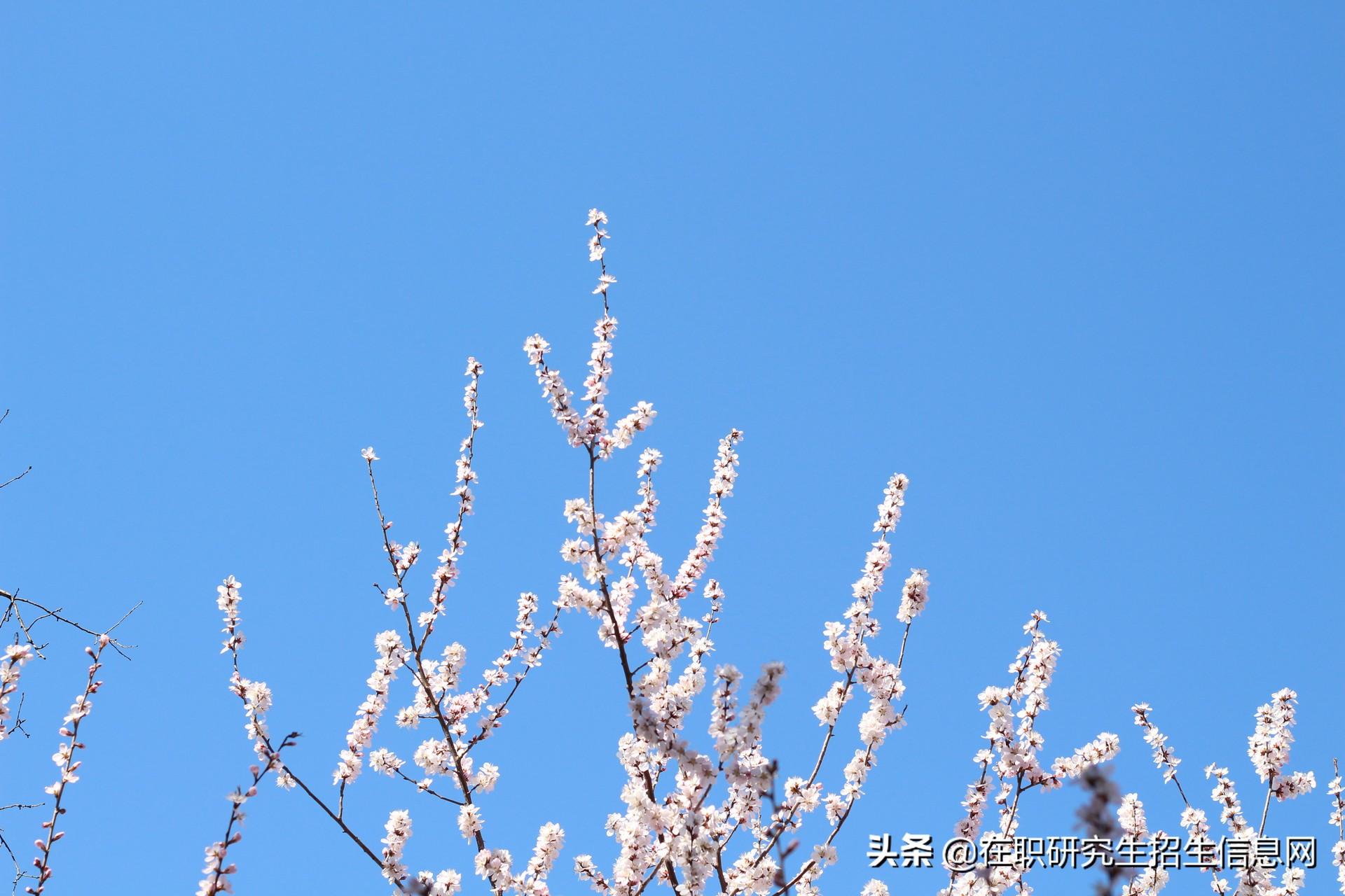 学前教育非全日制研究生学校（学前教育在职研究生参加哪些考试）