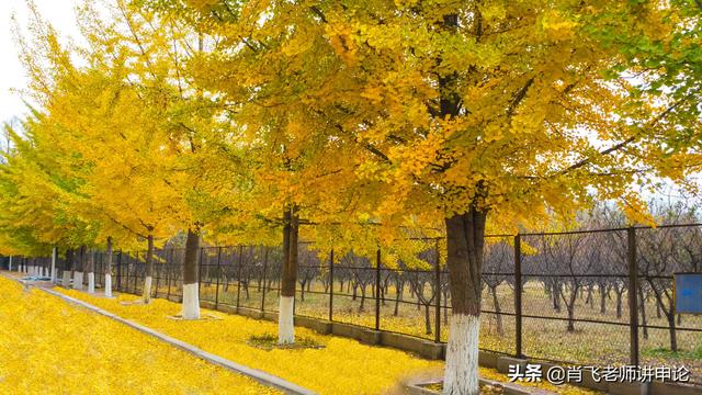 发散思维的特征，简述发散思维的基本特征。（思维有哪些类型）