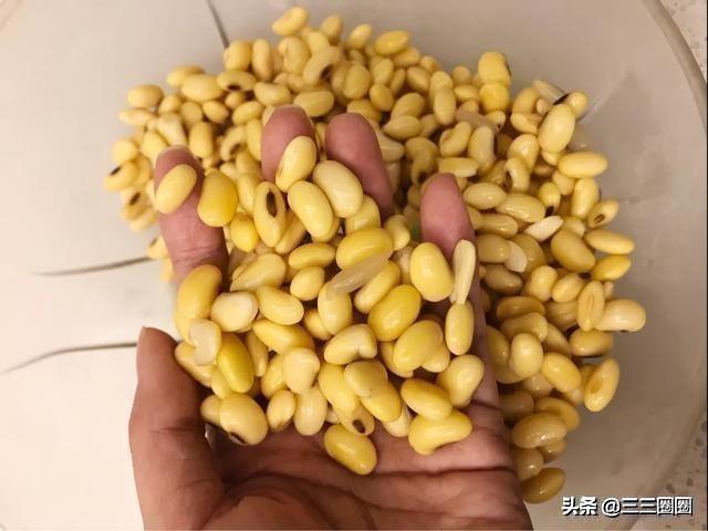 白醋点豆腐的方法，封城后再没吃过豆腐的还有谁