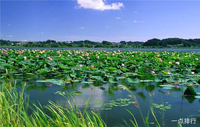 保定市旅游景点，保定市旅游景点免费（古莲花池是我国北方古代园林的明珠）