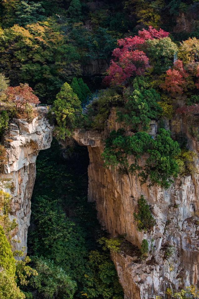 满山红叶似彩霞，阿宝歌曲大全（山东最全赏红叶地图来了）